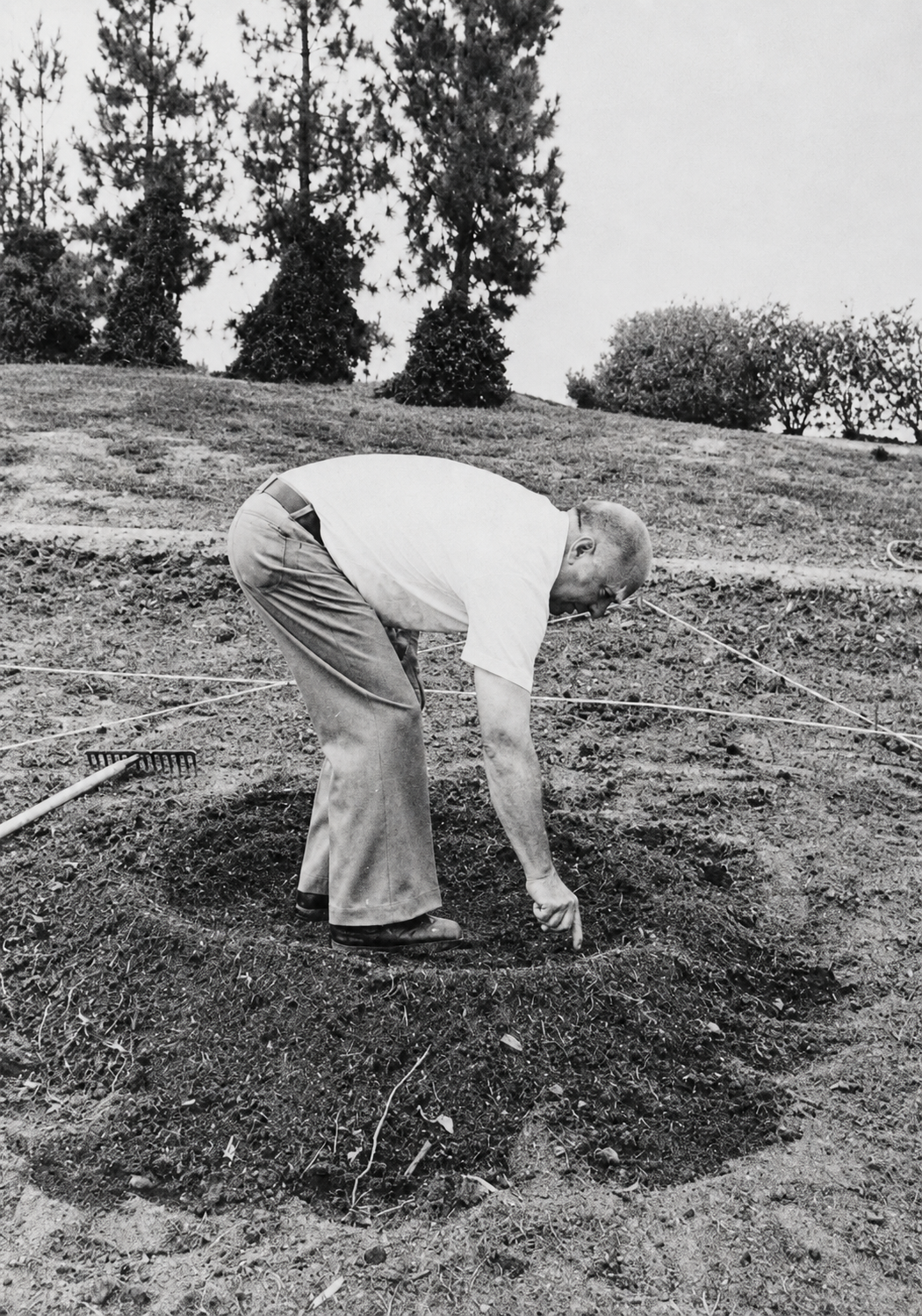 Derald George Langham, genetista agricolo e fondatore della Genesa Foundation
