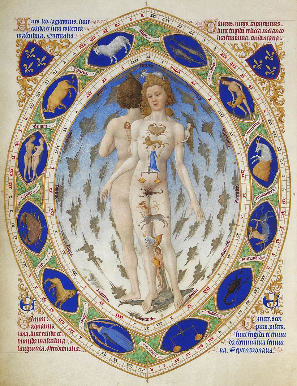 L’Uomo Zodiacale (Homo Signorum) dalle Très Riches Heures del Duca di Berry: il corpo umano posto in corrispondenza con i dodici segni